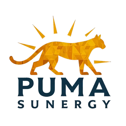 Puma Sunergy